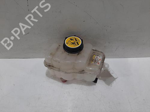 Ekpansionstank JAGUAR I-PACE (X590) EV400 AWD | BP30516936C120