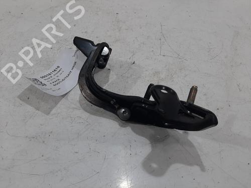 Hinge/Door check strap JAGUAR F-PACE (X761) 2.0 TD4 AWD | BP31769165C146