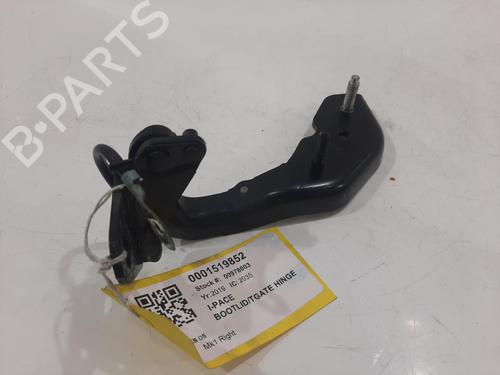 Hinge/Door check strap JAGUAR I-PACE (X590) EV400 AWD | BP29444514C146 