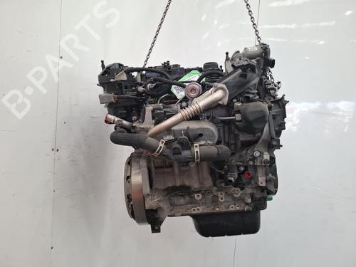 Engine FORD C-MAX II (DXA/CB7, DXA/CEU) 1.5 TDCi | BP39176461M1 - Image 3