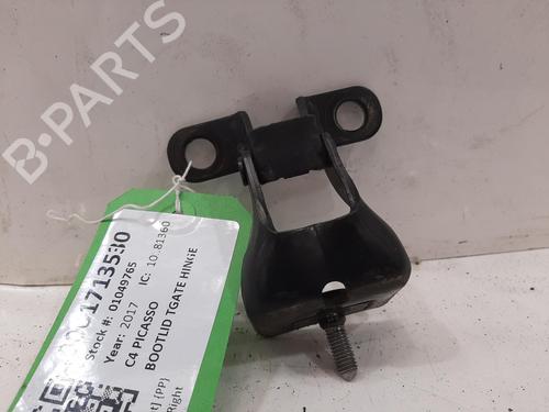 Used Hinge/Door check strap Hinge/Door check strap CITROËN C4 Picasso II 1.6 BlueHDi 120 (120 hp) 34619867 34619867