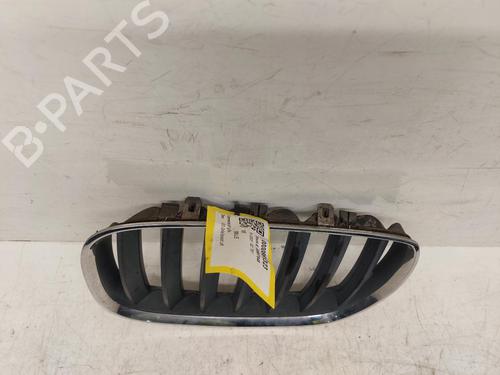 Grille BMW X5 (E53) 3.0 d | BP26753738C40 