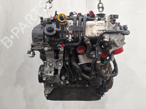Motor AUDI A3 (8V1, 8VK) 1.6 TDI | BP30829738M1