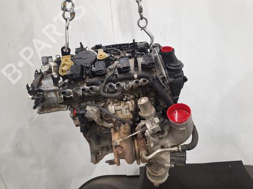 Engine AUDI Q5 (FYB, FYG) 2.0 TFSI quattro | BP29742393M1 