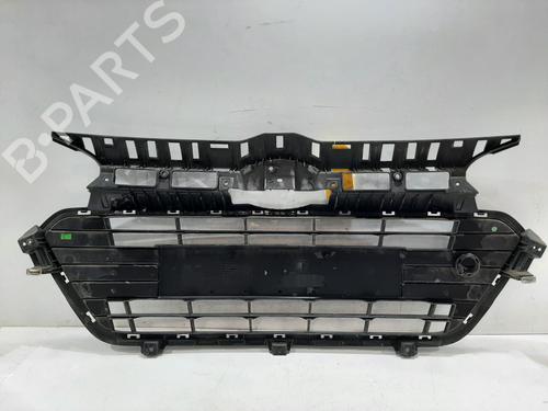 Grille HYUNDAI i20 II (GB, IB) 1.0 T-GDI | BP29988590C40