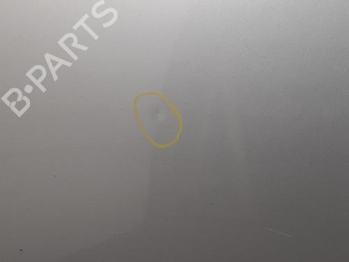 Left front door VAUXHALL CORSA Mk V (F) 1.2 | BP30142304C2