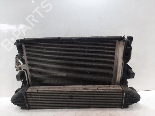 Used Water radiator Water radiator FORD S-MAX (WA6) 2.2 TDCi (200 hp) 33466925 33466925