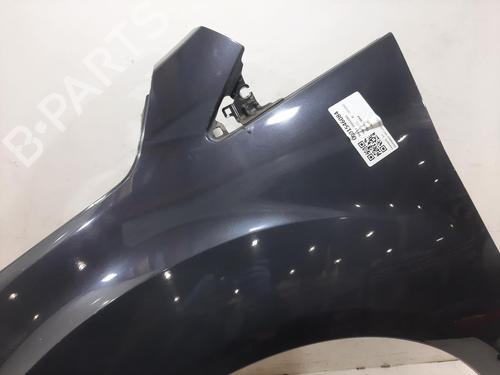 Left front fenders FORD C-MAX II (DXA/CB7, DXA/CEU) 1.6 TDCi | BP29966496C41