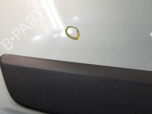 Right rear door SKODA FABIA II (542) 1.2 TSI | BP26853540C5 