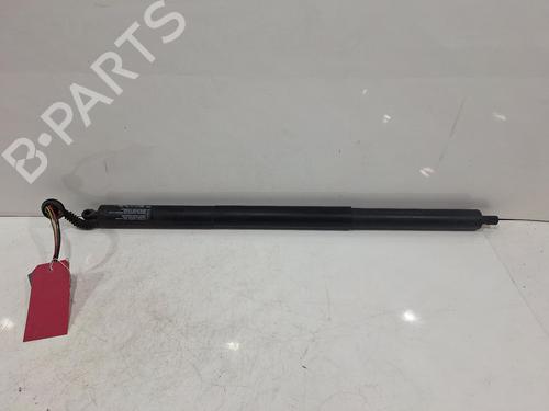 tailgate-lift-support-ford-kuga-ii-dm2-2012-39894505 main image