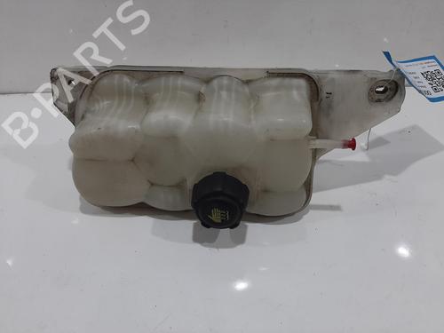 Ekpansionstank Ekpansionstank NISSAN JUKE (F15) 1.5 dCi (110 hp) 36316160 36316160