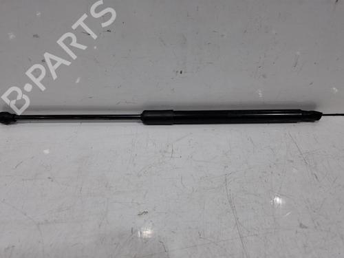 tailgate-lift-support-dacia-sandero-iii-2021-40021581 main image