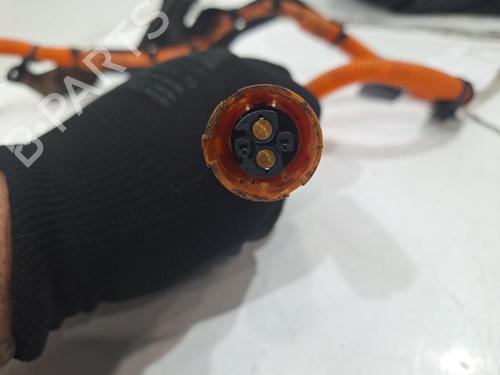 Wiring harness LAND ROVER RANGE ROVER SPORT II (L494) 3.0 SDV6 Hybrid 4x4 | BP31207973E16 