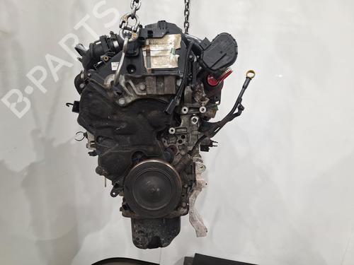 Used Engine FORD C-MAX II (DXA/CB7, DXA/CEU) 1.6 TDCi (115 hp) 29061242