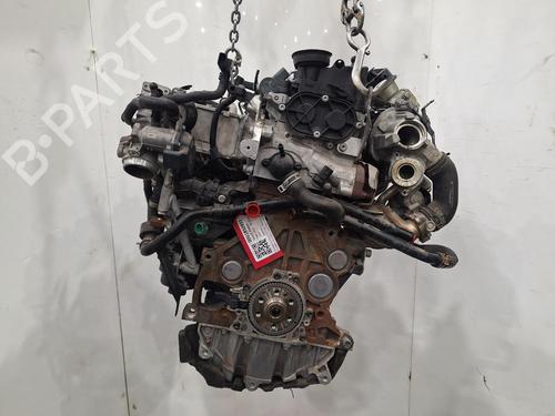 Used Engine Engine VW GOLF VII (5G1, BQ1, BE1, BE2) 2.0 TDI (150 hp) 39743641 39743641