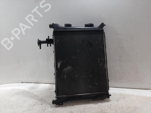 Kit radiatore Kit radiatore 38043105 38043105