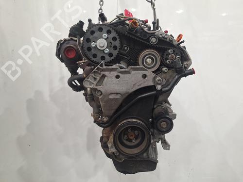 Engine VW GOLF VI (5K1) 1.6 TDI | BP29496815M1 