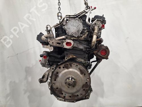Used Engine AUDI Q5 (8RB) 2.0 TDI quattro (170 hp) 30406527
