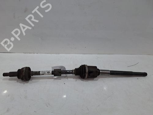 BP26768619O1 main image