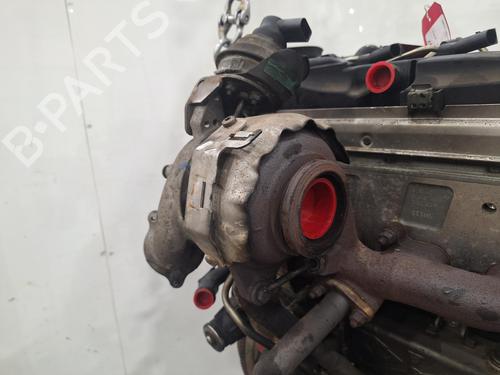 Engine VW GOLF VI (5K1) 1.6 TDI | BP29496815M1 