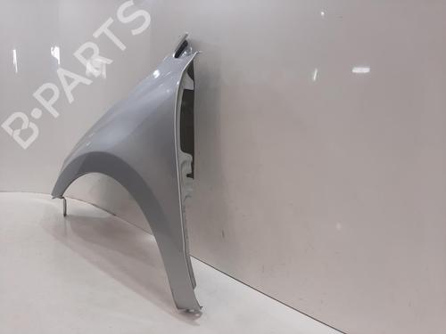 Left front fenders VW POLO V (6R1, 6C1) 1.2 | BP29445082C41 