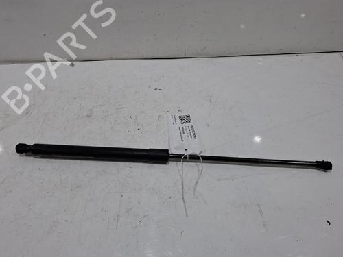 tailgate-lift-support-renault-arkana-i-lcm_-ldn_-2019-39070745 main image
