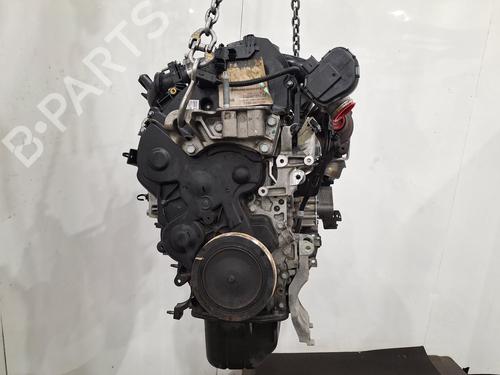 Used Engine FORD FOCUS III 1.6 TDCi (115 hp) 30789870