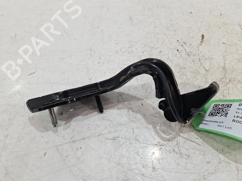 Hinge/Door check strap JAGUAR I-PACE (X590) EV400 AWD | BP31769087C146