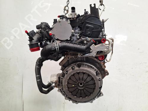 Used Engine FORD FOCUS IV (HN) 1.0 EcoBoost mHEV Flex (125 hp) 28039616