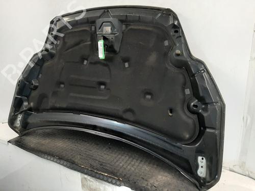 Hood FORD FOCUS II (DA_, HCP, DP) 1.6 | BP28275092C1 