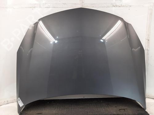 Panser VAUXHALL INSIGNIA Mk I (A) Hatchback (G09) 2.0 CDTI (68) (170 hp) 31341893