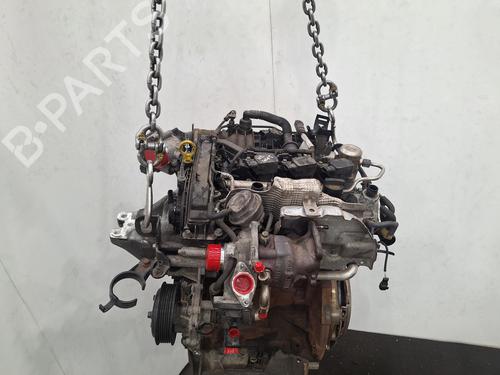 Engine FORD FIESTA VI (CB1, CCN) 1.0 EcoBoost | BP28115059M1 