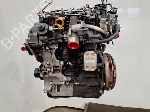 Engine VW TIGUAN (5N_) 2.0 TDI | BP36316177M1  - Image 5