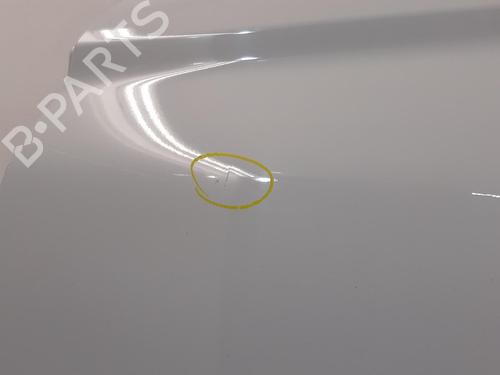 Left rear door FORD FIESTA VII (HJ, HF) 1.1 Ti-VCT | BP31341936C4 