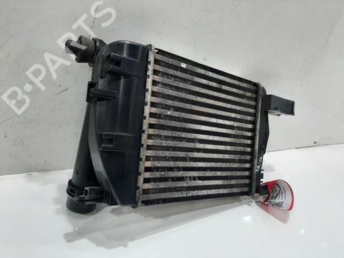 Intercooler DACIA SANDERO II TCe 90 (B8M1, B8MA, B8AC) | BP31009032M30 