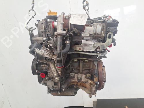 Engine FIAT PANDA (312_, 319_) 1.3 D Multijet (312PXL1A) | BP32503652M1 