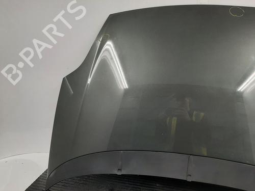 Hood FIAT PUNTO EVO (199_) 1.4 (199AXB1A) | BP26846335C1 