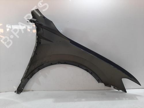 Left front fenders VW TIGUAN (AD1, AX1) 2.0 TSI 4motion | BP29524555C41 