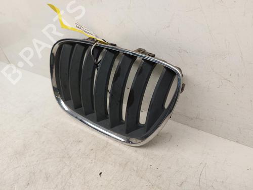 Grille BMW X5 (E53) 3.0 d | BP26753738C40 