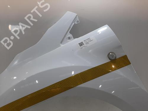 Left front fenders FORD TRANSIT CONNECT V408 Box Body/MPV 1.5 EcoBlue | BP29496333C41 