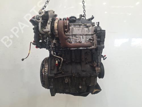 Engine NISSAN QASHQAI II (J11, J11_) 1.5 dCi | BP38015138M1 - Image 4