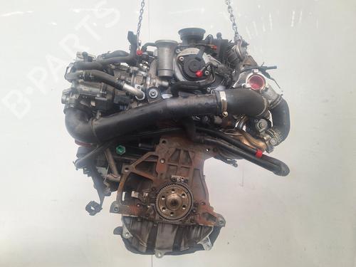 Used Engine Engine AUDI A3 (8V1, 8VK) 1.6 TDI (110 hp) 34733876 34733876