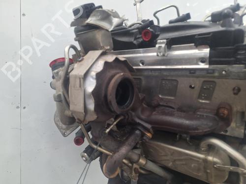 Engine SKODA FABIA II (542) 1.6 TDI | BP33800074M1 - Image 6