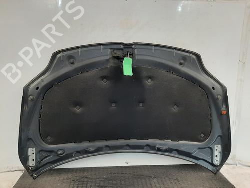 Hood VW GOLF PLUS V (5M1, 521) 1.6 TDI | BP29397919C1 