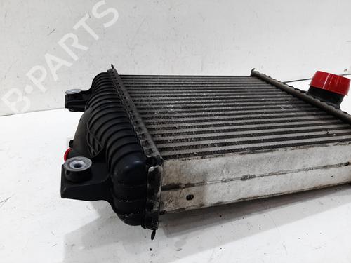 Intercooler LAND ROVER RANGE ROVER IV (L405) 4.4 SDV8 4x4 | BP30094883M30 