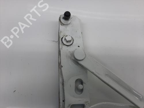 Hinge/Door check strap ASTON MARTIN DB9 Vantage 6.0 V12 | BP29235488C146 