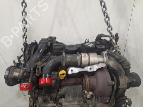Engine FORD C-MAX II (DXA/CB7, DXA/CEU) 1.6 TDCi | BP40078404M1  - Image 5