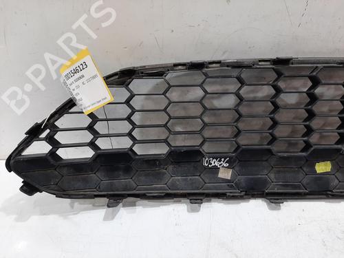 Grille FORD FIESTA VI Van 1.5 TDCi | BP29988757C40