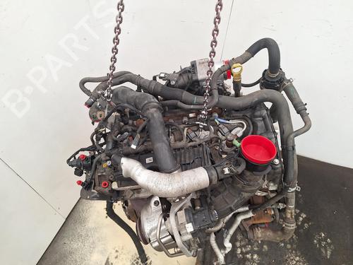 Engine FORD TRANSIT CUSTOM V362 Van (FY, FZ) 2.0 EcoBlue | BP40010740M1 - Image 5