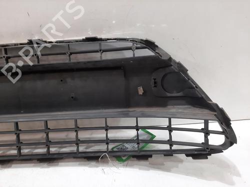 Grille FORD FIESTA VI (CB1, CCN) 1.25 | BP29496367C40 